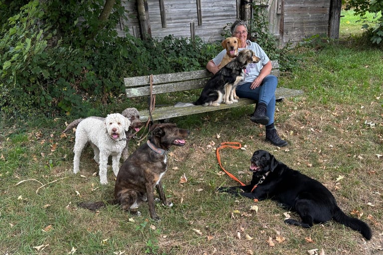 Marion Lindhof sitzt mit auf einer Bank mit ihren eigenen und 3 Gasthunden.