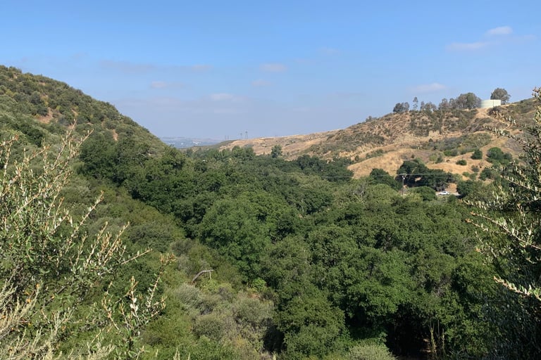 an image of Placerita Canyon