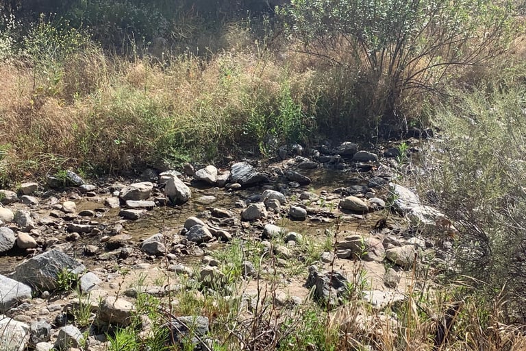 an image of a stream