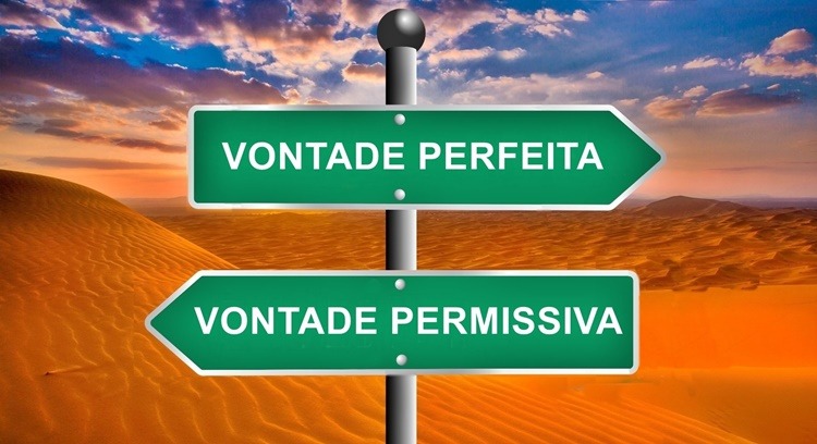 imagem de uma placa de sinalização escrita vontade perfeita vontade permissiva.