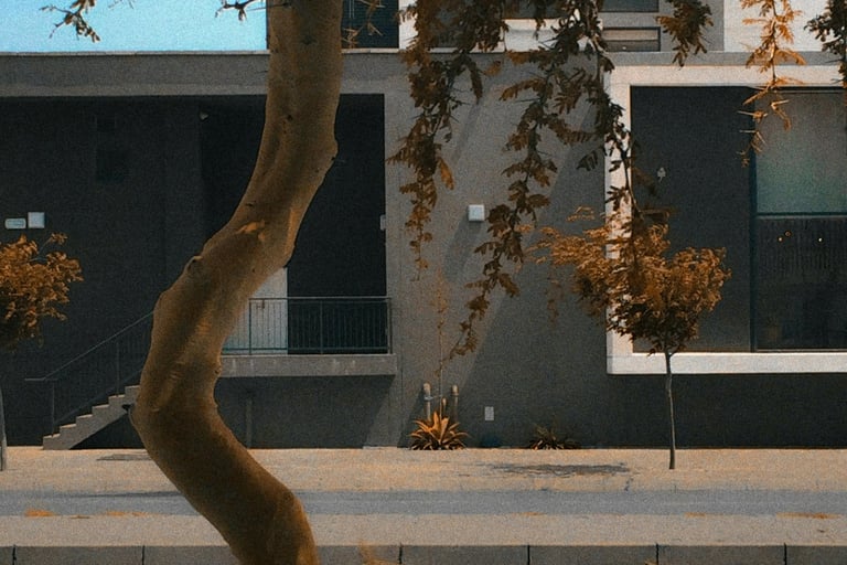 Nature as connection to past