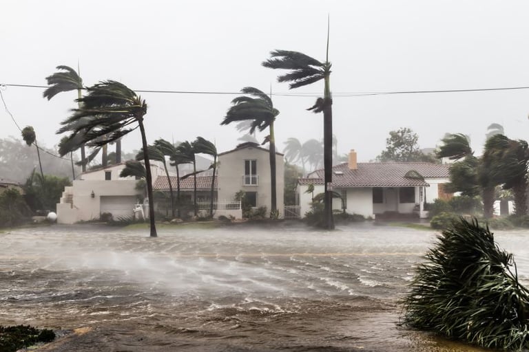 strong wind