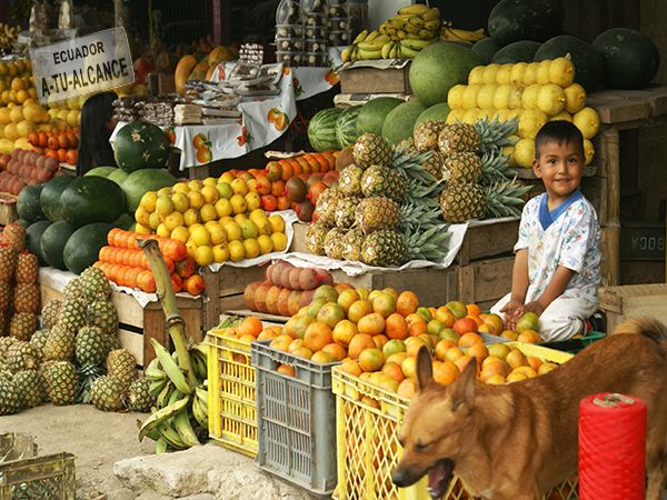 Fruits from Ecuador witha kid smiling to the camera