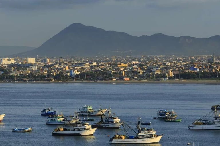 Cerro de Montecristi