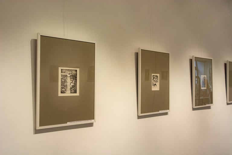 Gražinos Didelytės ekslibrisai