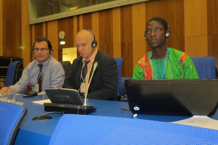 Convención cotra el crimen organizado