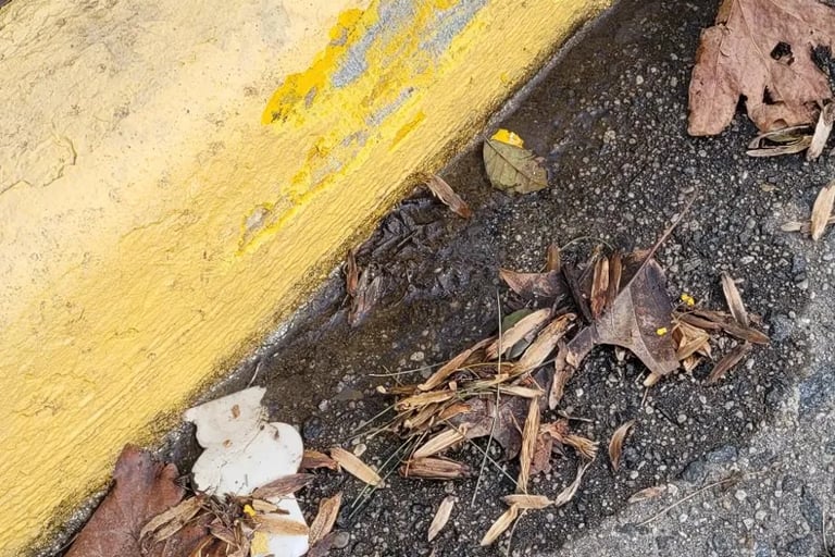 Curb damage after winter snow