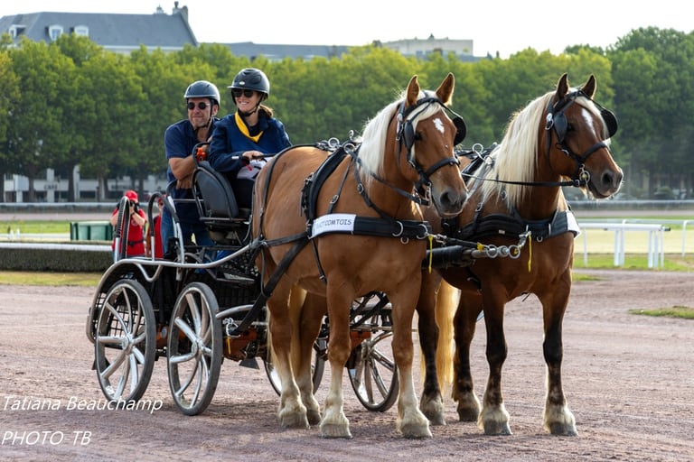Hippodrome de Caen