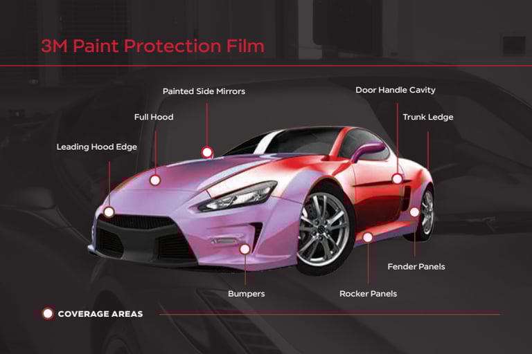 vehicle paint protection coverage in Livermore CA