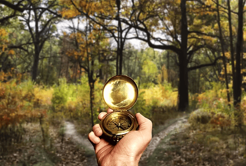 Hand holding gold compass at forest crossroads representing strategic project direction
