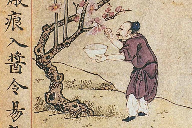Xing Lin