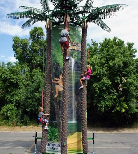 Coconut Tree Climbing