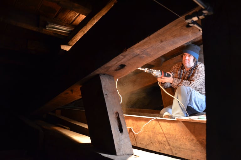Great Watching Chamber roof, Hampton Court - photo by Dr Lee Prosser FSA