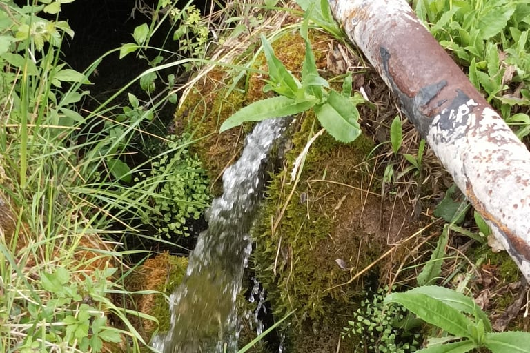 The constantly flowing source