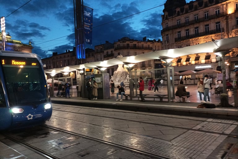 Line One Tram