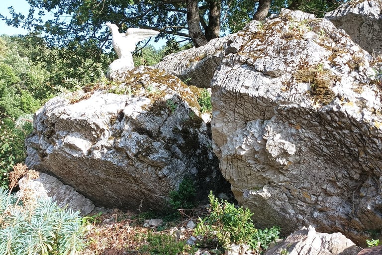 Some garden rocks.