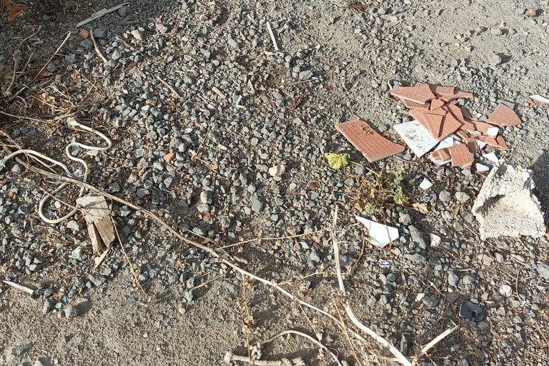A treasure trove to be found