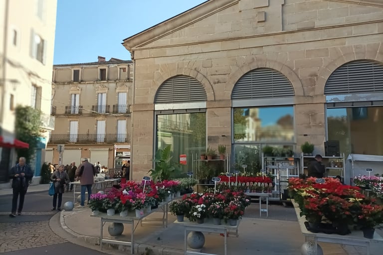 The winter plant stall