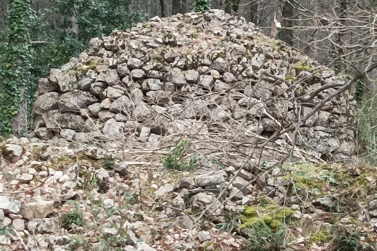 Cabane from behind
