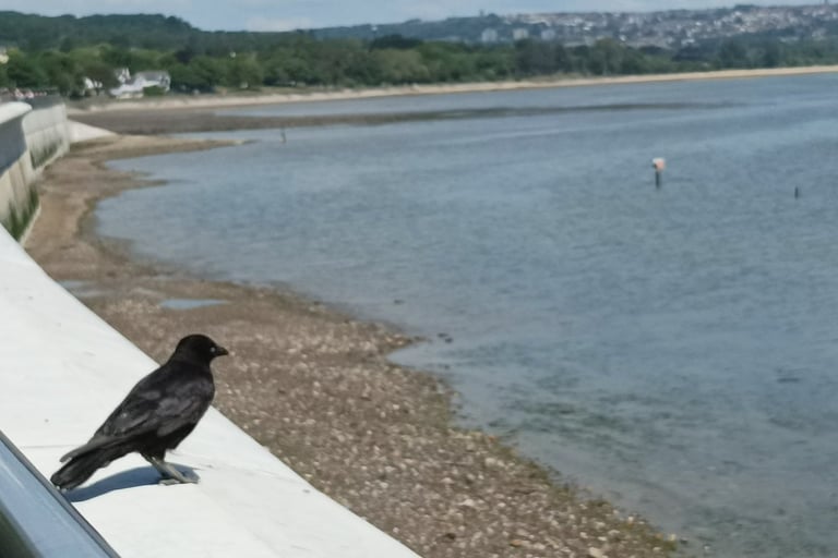 Looking towards the city of Swansea