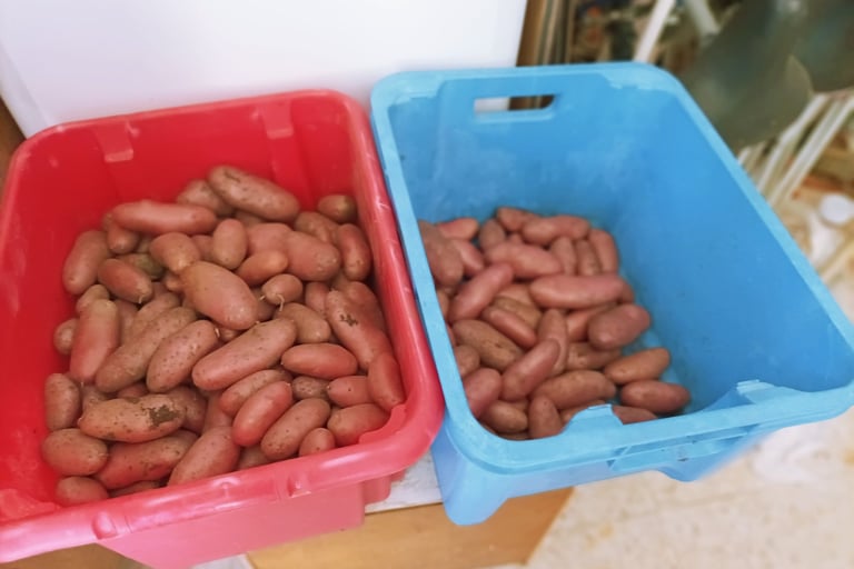 Chérie Red Potatoes.