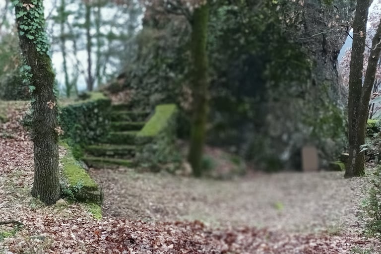 Moss grows everywhere 