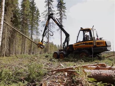 A multi purpose giant tree felling machine