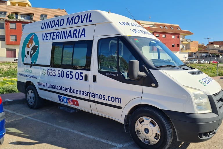 Unidad movil de Veterinaria a domicilio en Molina de Segura tumascotaenbuenasmanos