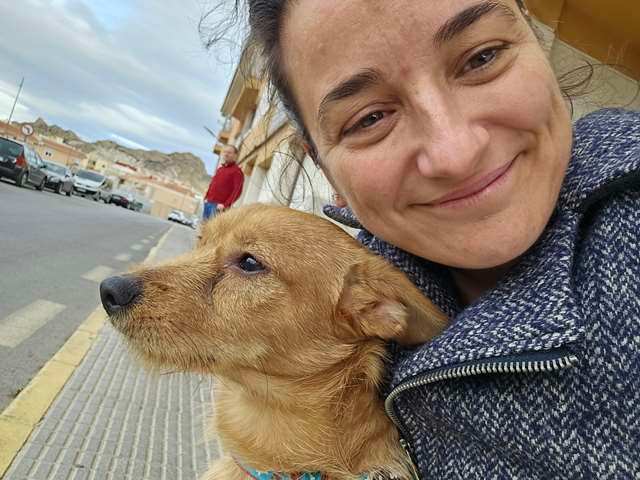 veterinario a domicilio en Murcia, Cartagena, Mar menor