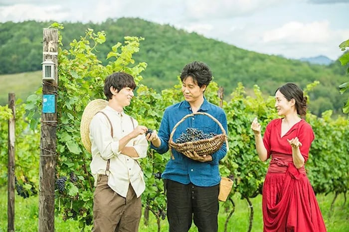 Budo no namina / A Drop of the Grapevine | © Cookingwiththehamster