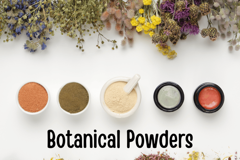 Back2naturalness dry shampoo powder natural ingredients image