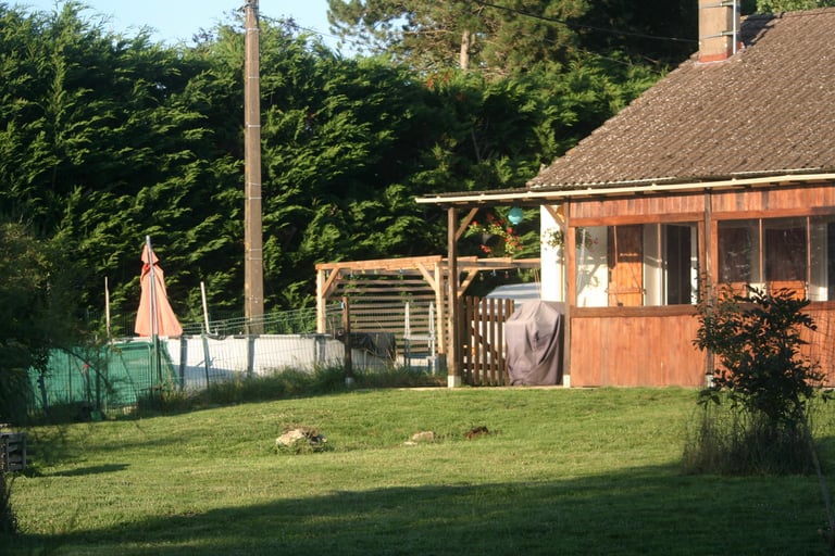 a horse is standing in the grass near a house