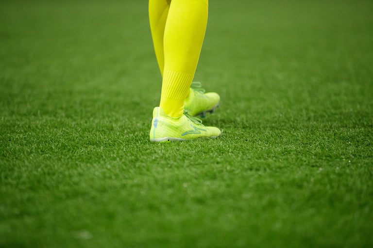 fc fascino vs dipo batam