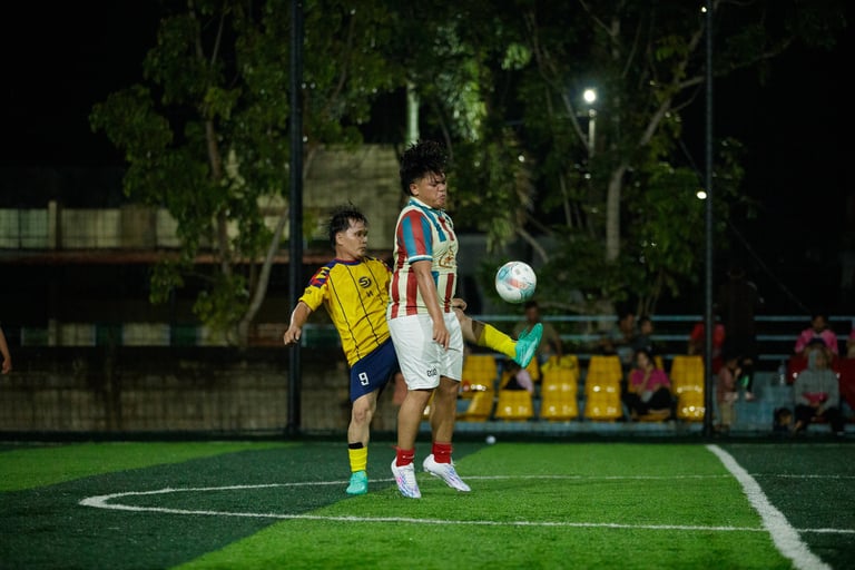 labview vs niasnesia fc