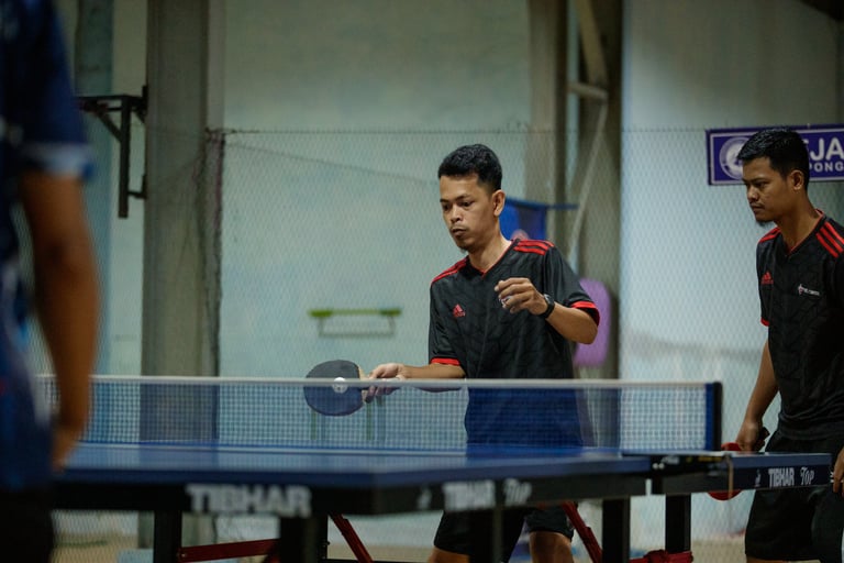ping-pong postel