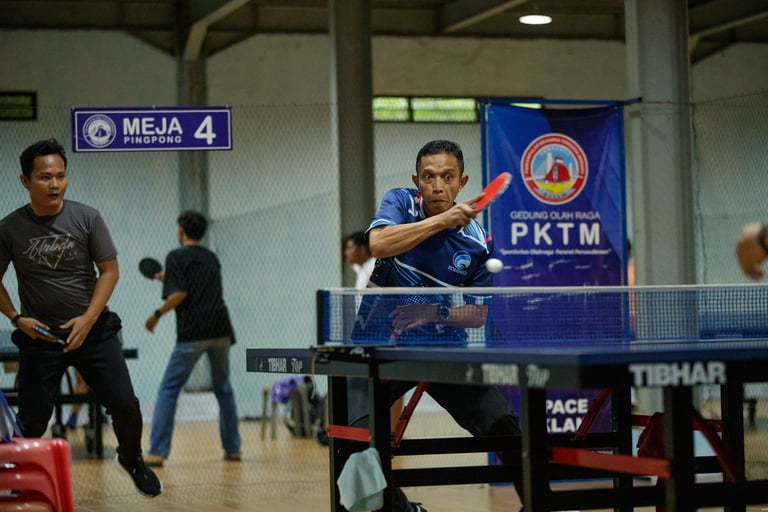 ping-pong postel