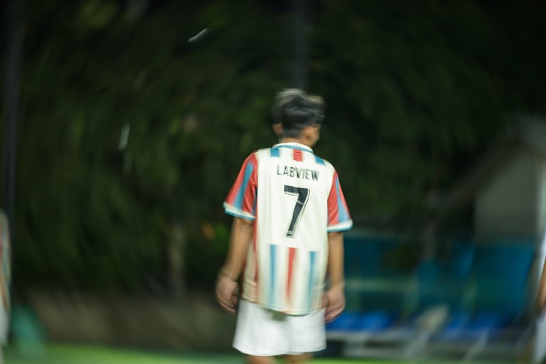 labview vs verdant valley