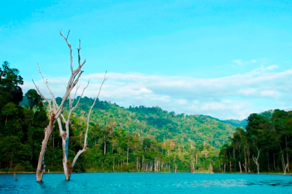 4 Days 3 Nights Royal Belum National Park Tour & Travel Packages