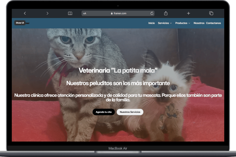 Sitio web desarrollo No-Code con Framer