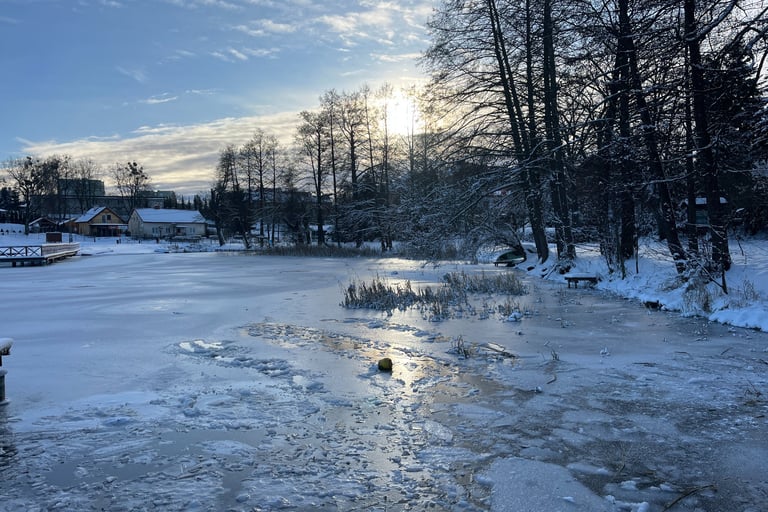 Frozen Lake