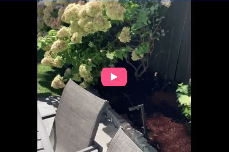 Landscaping testimonial