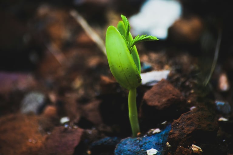 Personal growth.