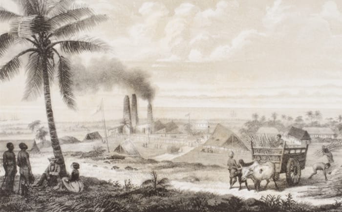 A sugar factory