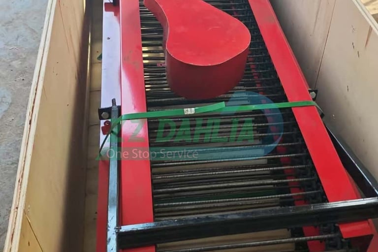 acp peeling machine package