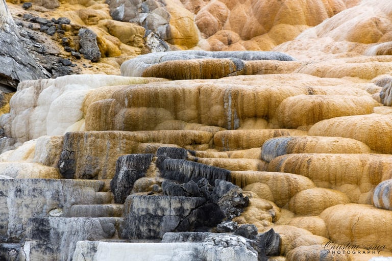 Mammoth Hot Springs