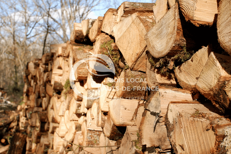 une pile de bûches empilées les unes sur les autres