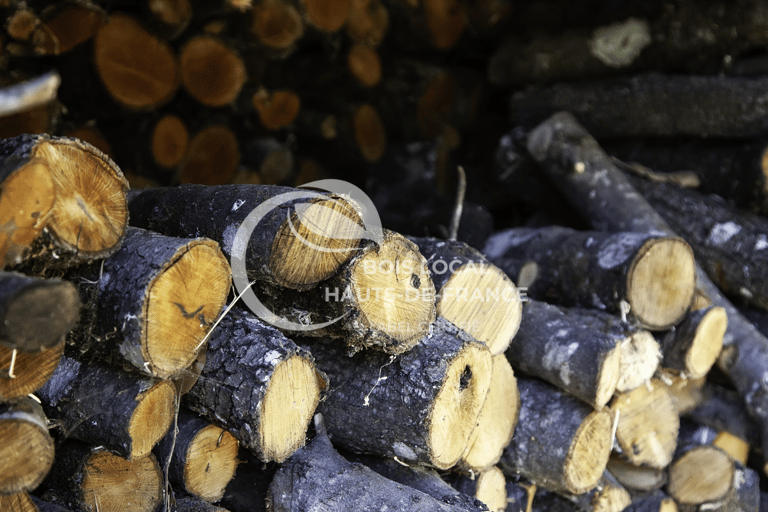 une pile de bûches empilées