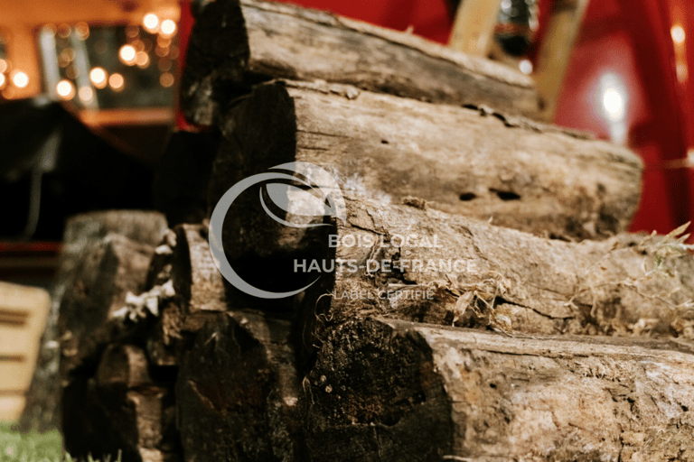 une pile de bûches sur l'herbe