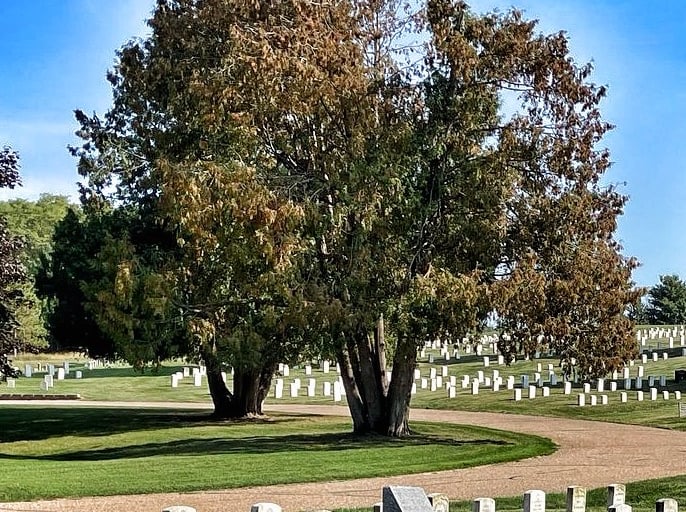 Military graveyard in Waupaca, Wisconsin 
