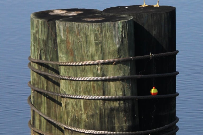A Seagull finds a spot rest at the Montello Dam Spillway. 